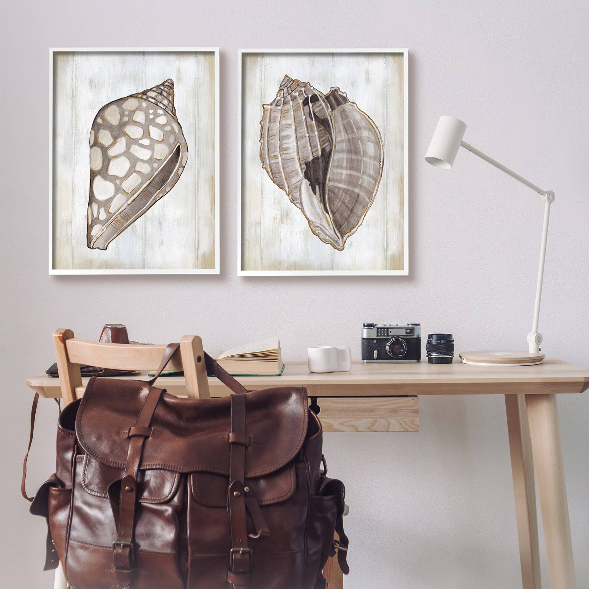 Stupell Industries - Wholesale Gallery Wall Set - Brown Nautilus Sea Shells 2pc Framed8