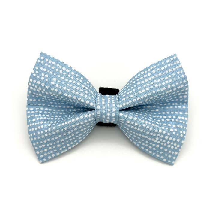 Winthrop Clothing Co. - Vendita all'ingrosso Papillon - Cani - Papillon per cani a pois blu chiaro0