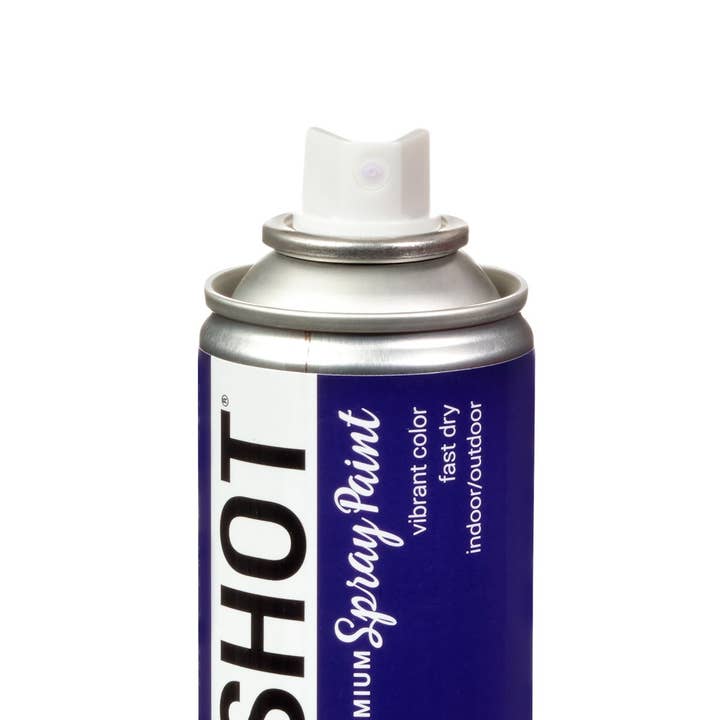 Ilovetocreate - Wholesale Paint Set - COLORSHOT Gloss Spray Paint Center Stage (Purple) 10 oz.3