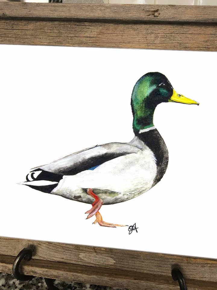 11x14 Prints - Duck Tape for wholesale by DOLLY ESTELLE