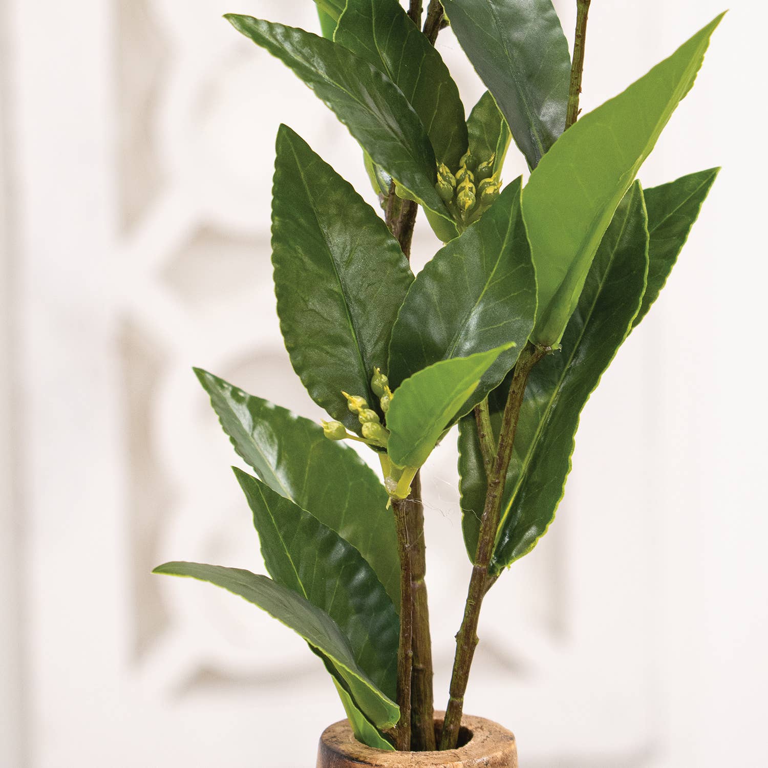 Saybrook Lane - Wholesale Artificial Flowers - Lush Green Laurel Spray - 27.5"H2