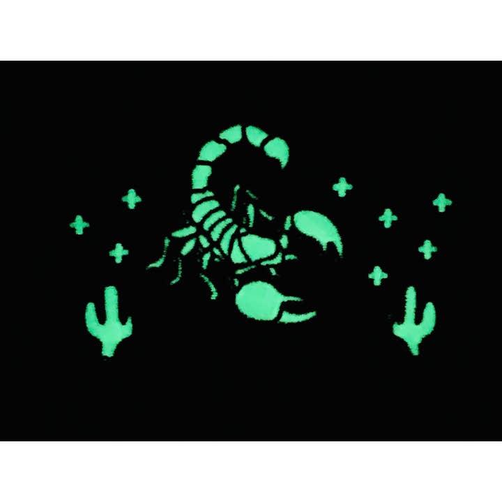 Under Every Stone Two Tone Hat for wholesale by Iconic Arizona