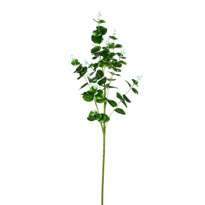 Vickerman 36" Artificial Gray/Green Money Leaf Spray. for wholesale by Vickerman