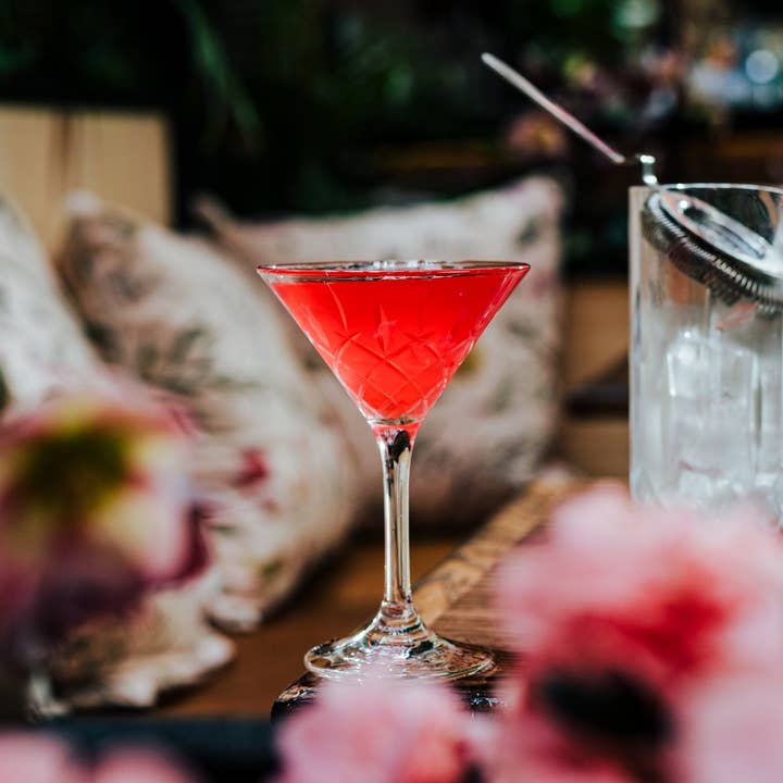 Hospitality Consumer Products - Vente Verres à cocktail/alcool - Maldives 8,75 oz. Martini2