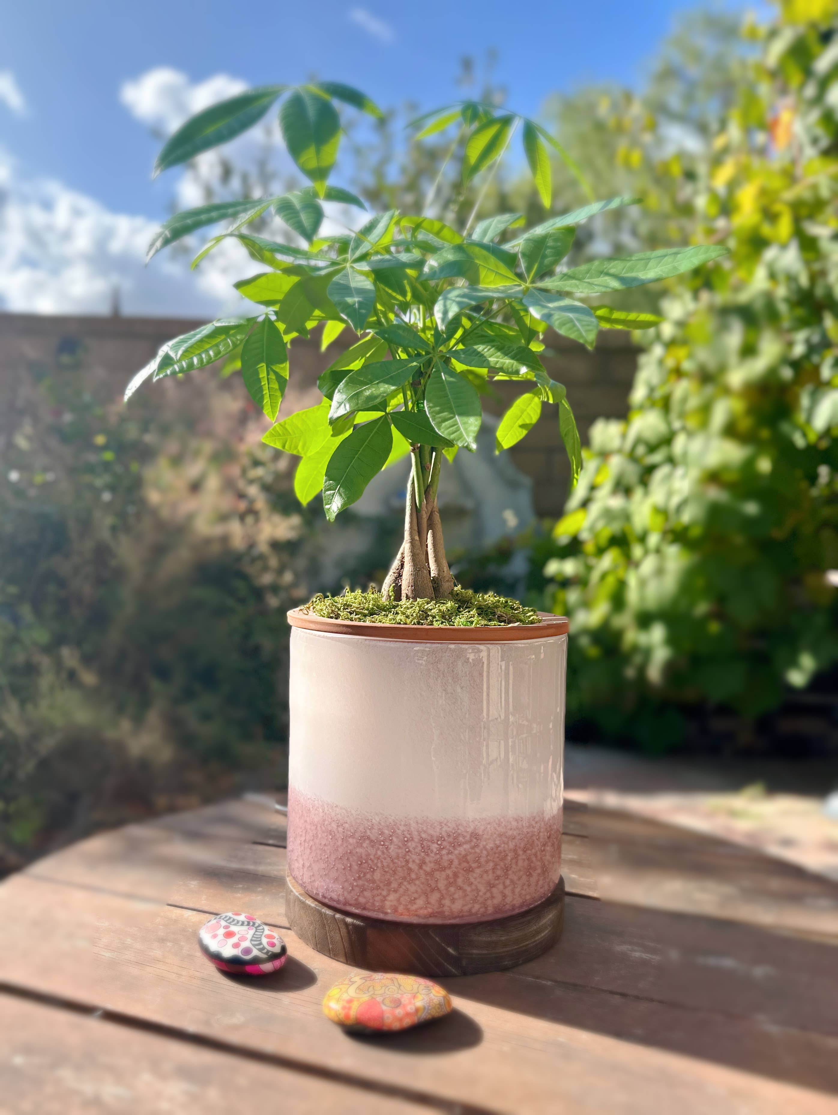 ApricotMint - Wholesale Plant Pot - 8" Art Glass LED Self Watering Planter (USB Plug-in)9