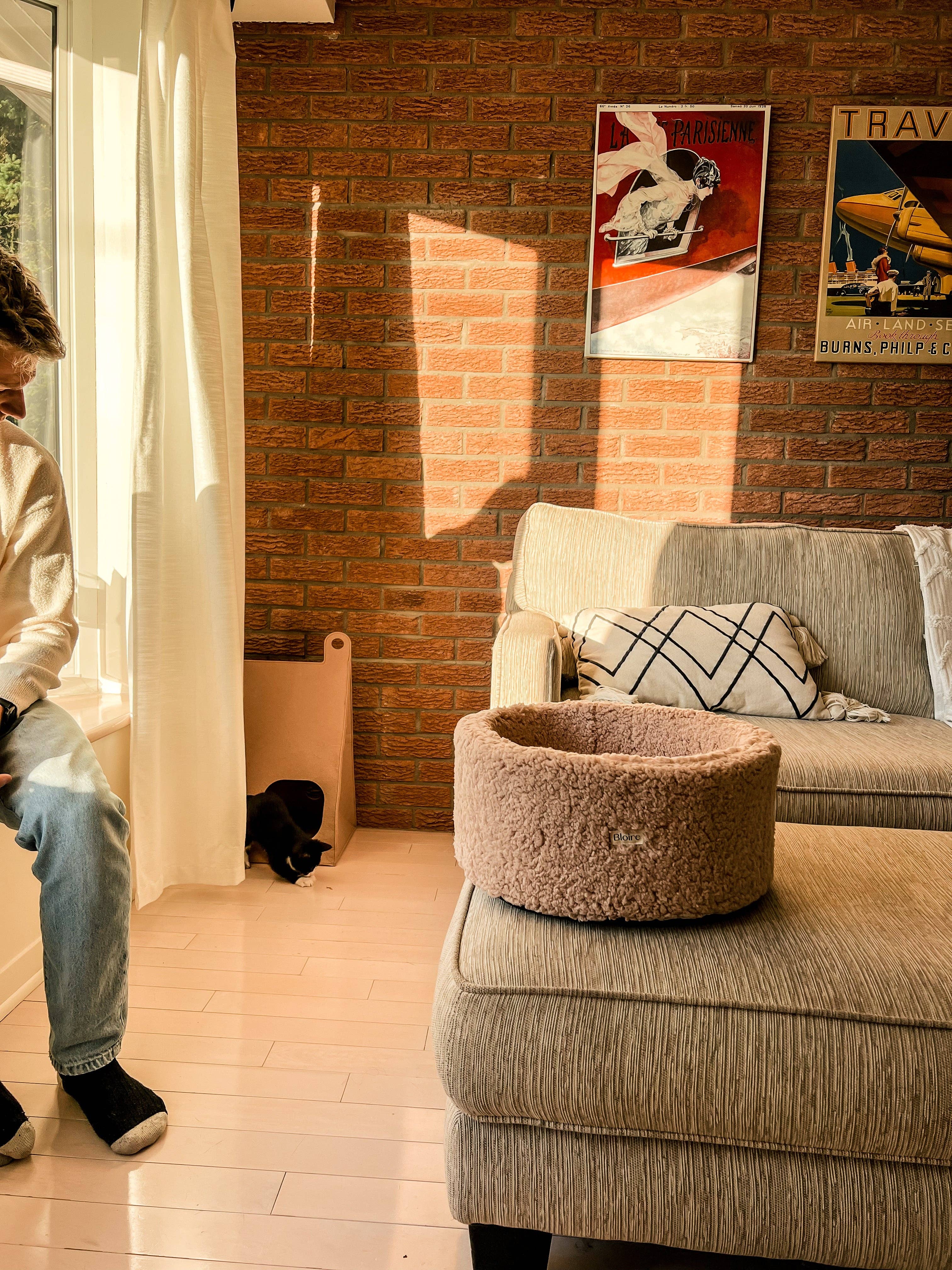 Bloire - Wholesale Pet Bed - Cat - Minimalist Moka Felt Cat House8