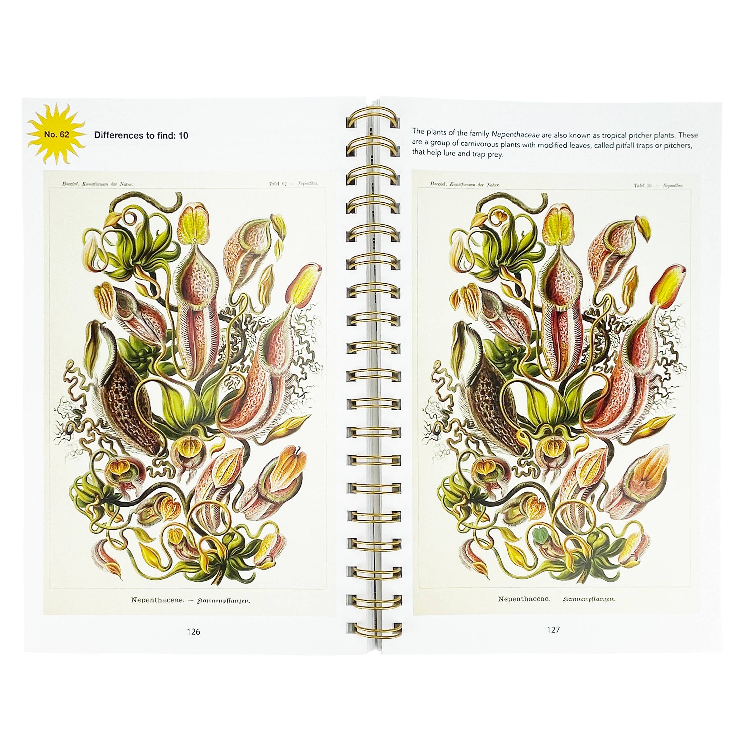 Cottage Door Press - Wholesale Coloring & Activity Book - Adult - Smithsonian Spot the Difference Natural Wonders Book3