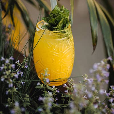 Hospitality Glass - Vendita all'ingrosso Bicchieri da cocktail/superalcolici - Fiji 17 oz. Stack3