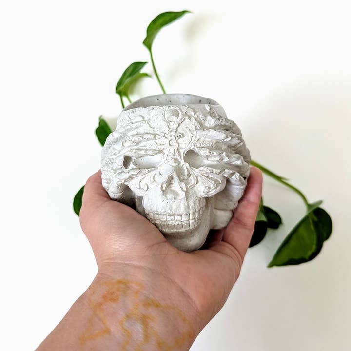 ForgottenProperty - Wholesale Plant Pot - Concrete Geometric Skull Air Plant Holder 1