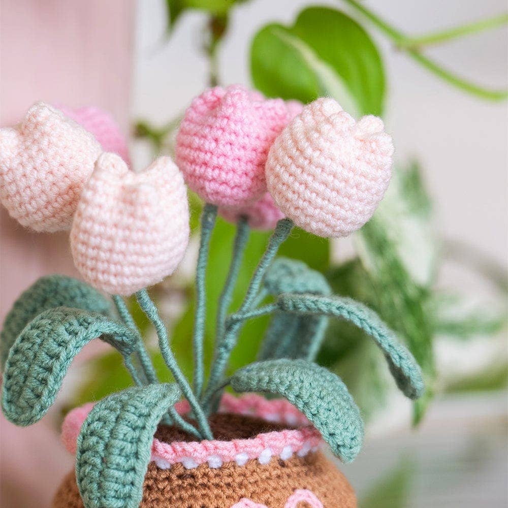 Craft Club - Wholesale DIY Craft Kit - Tulip Pot - Crochet Pot Plant Kit9