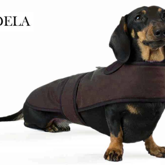 Cappottino impermeabile per bassotto marrone per la vendita all'ingrosso da parte di Earthbound Italia