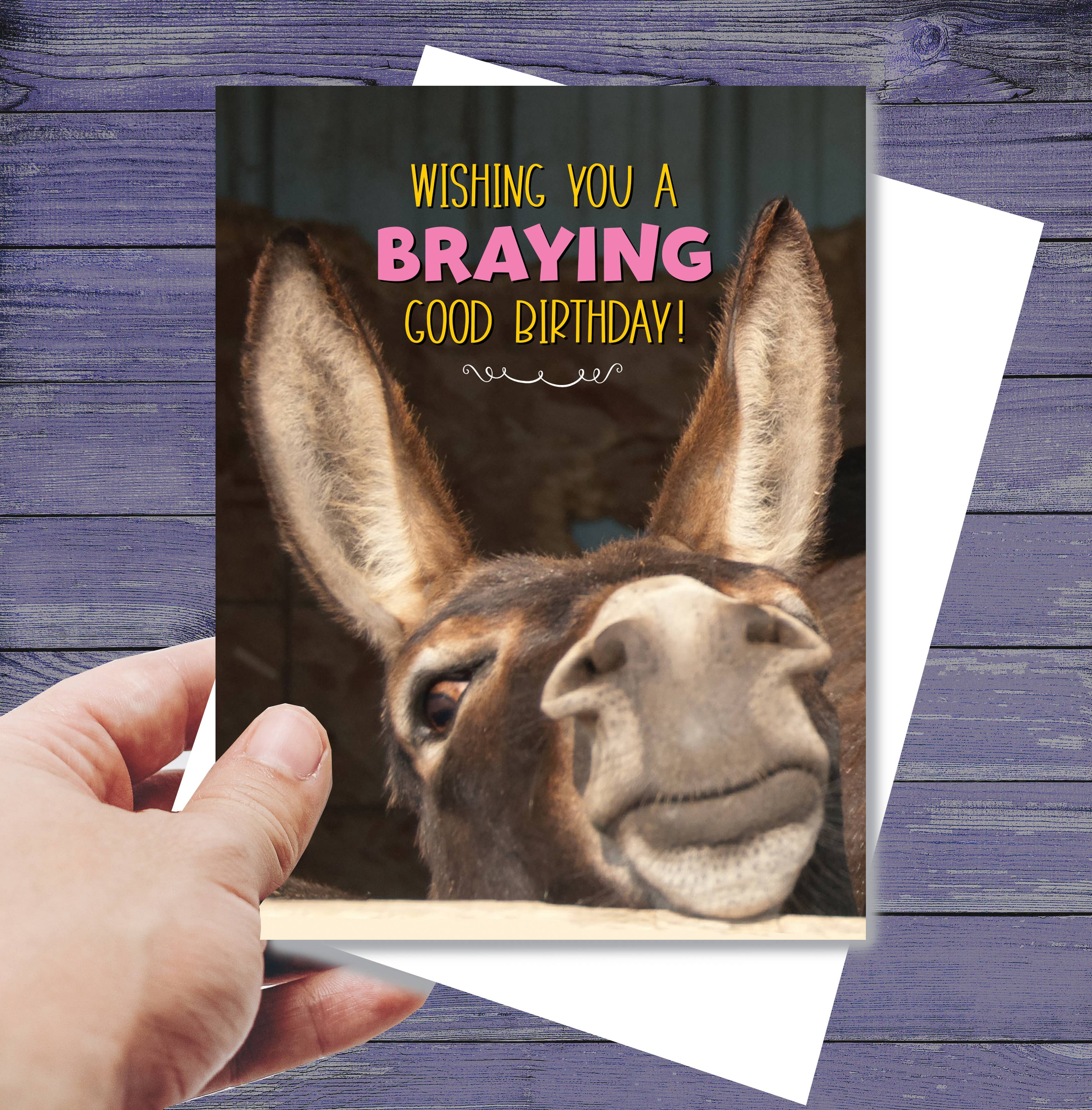 Horse Hollow Press - Wholesale Birthday Card - Donkey Greeting Birthday Card / Braying Good Birthday / Cute9