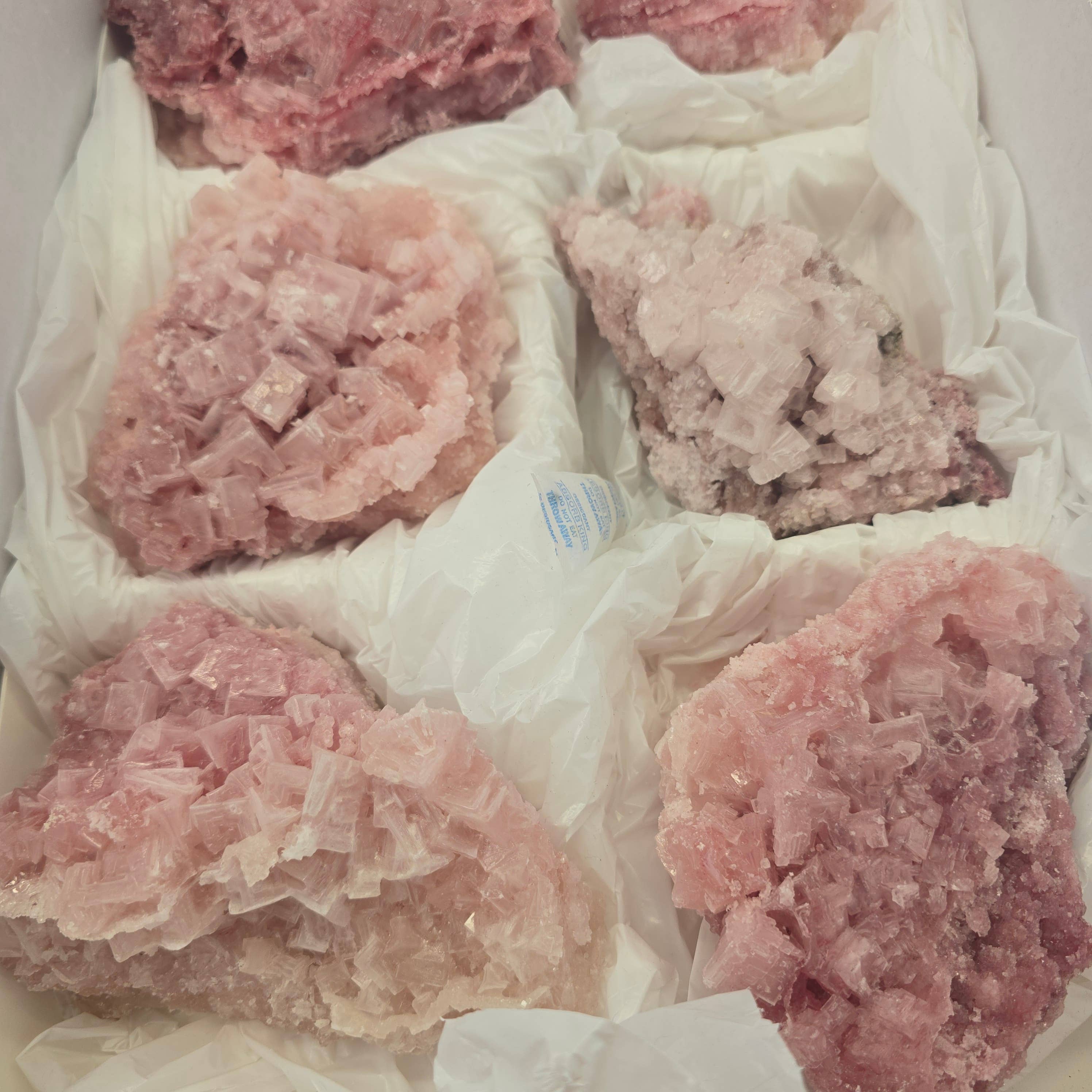 Aquamarine Daydream Wholesale - Wholesale Spiritual Stone/Crystal - 6pc Pink Halite ~ Bulk Mineral Flats ~ Crystal Specimens #52