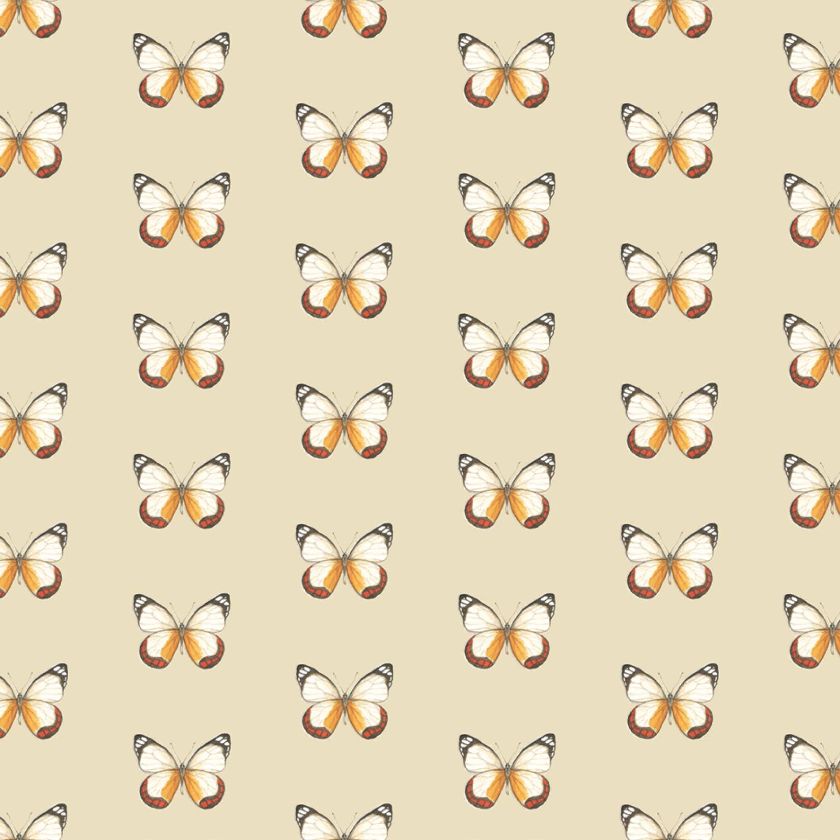 Yeesan Loh - Wholesale Flat Wrap - Gift Wrap / Butterflies & Moths9