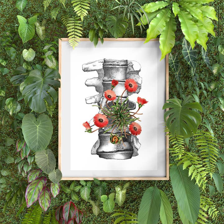 Marguerite simple Vertèbres pour la vente par PRRINT!