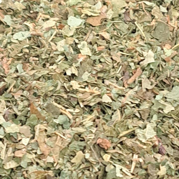 CADUCEUS kruidenapotheek - Venta al por mayor Tés saludables/desintoxicantes - Hoja de avellana (Corylus avellana) 1 kg