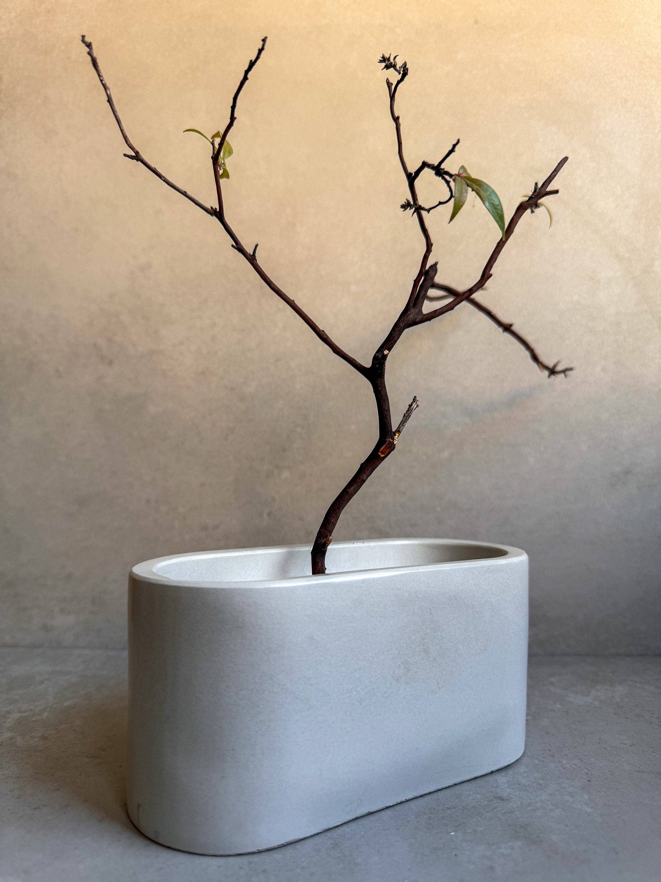 Minimal Loot Design – Engroshandel Plantekrukke – Oval betonurtepotte, dekorativ cementpotte og opbevaringstrugle til bord og badeværelse6