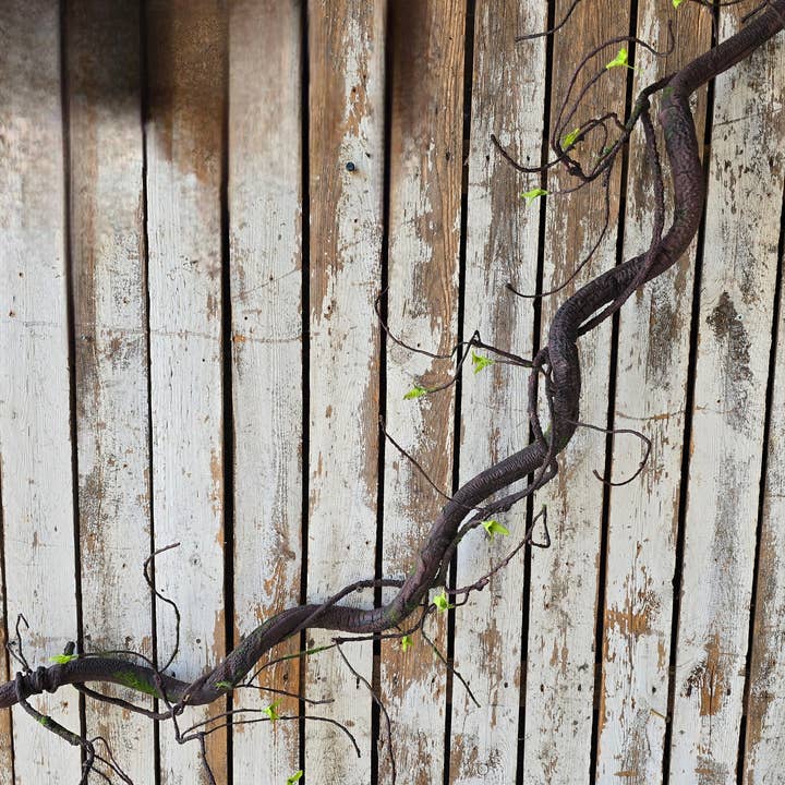 Wholesale Home Decor - Wholesale Artificial Plant - Jungle Vine 62in