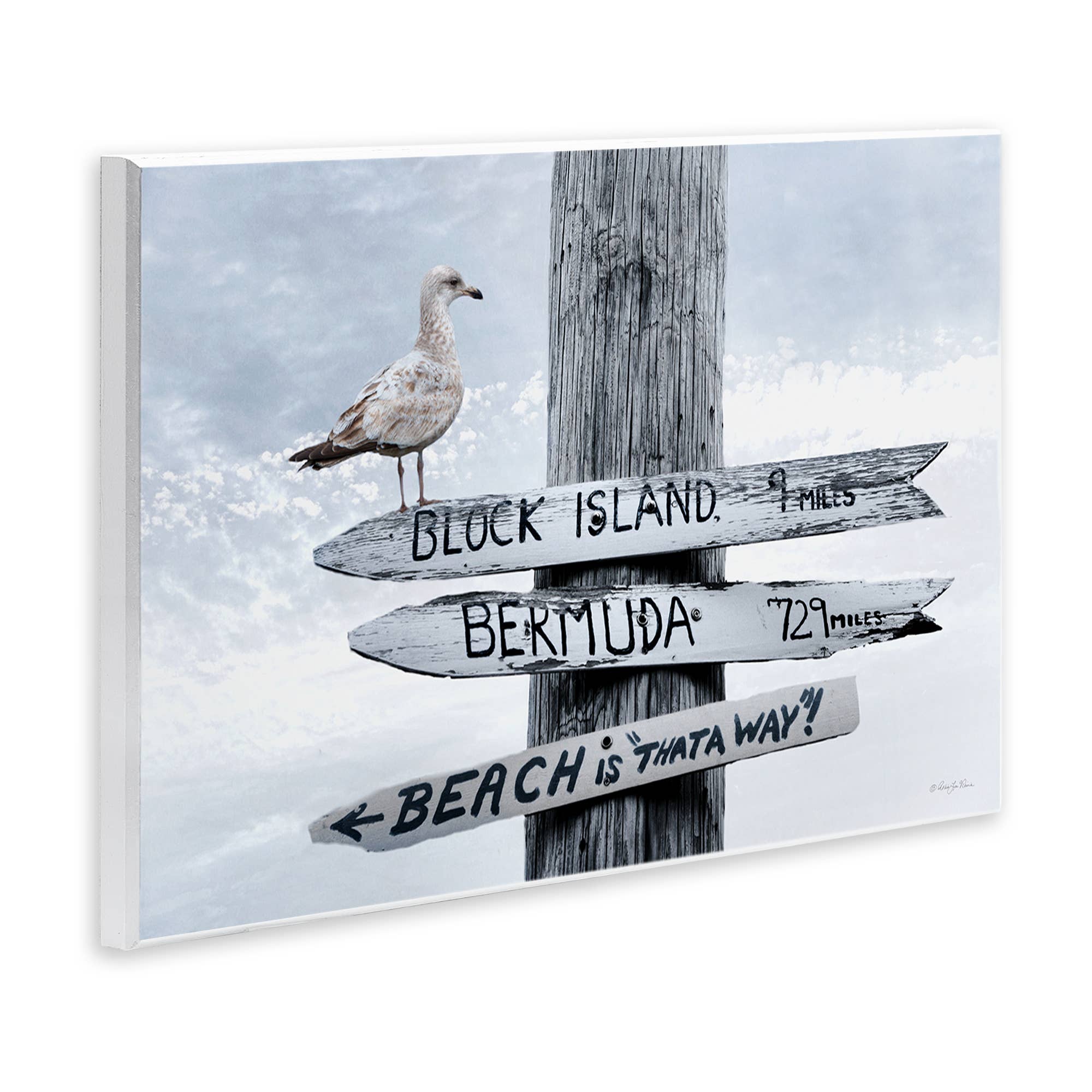 Stupell Industries - Wholesale Wall Sign - Vacation Beach Signs with Seagull - Unframed Wall Art3