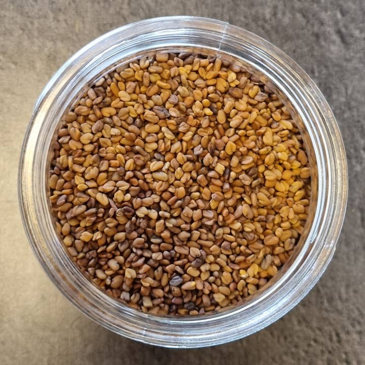 Feno-grego por atacado de Couleur épicée