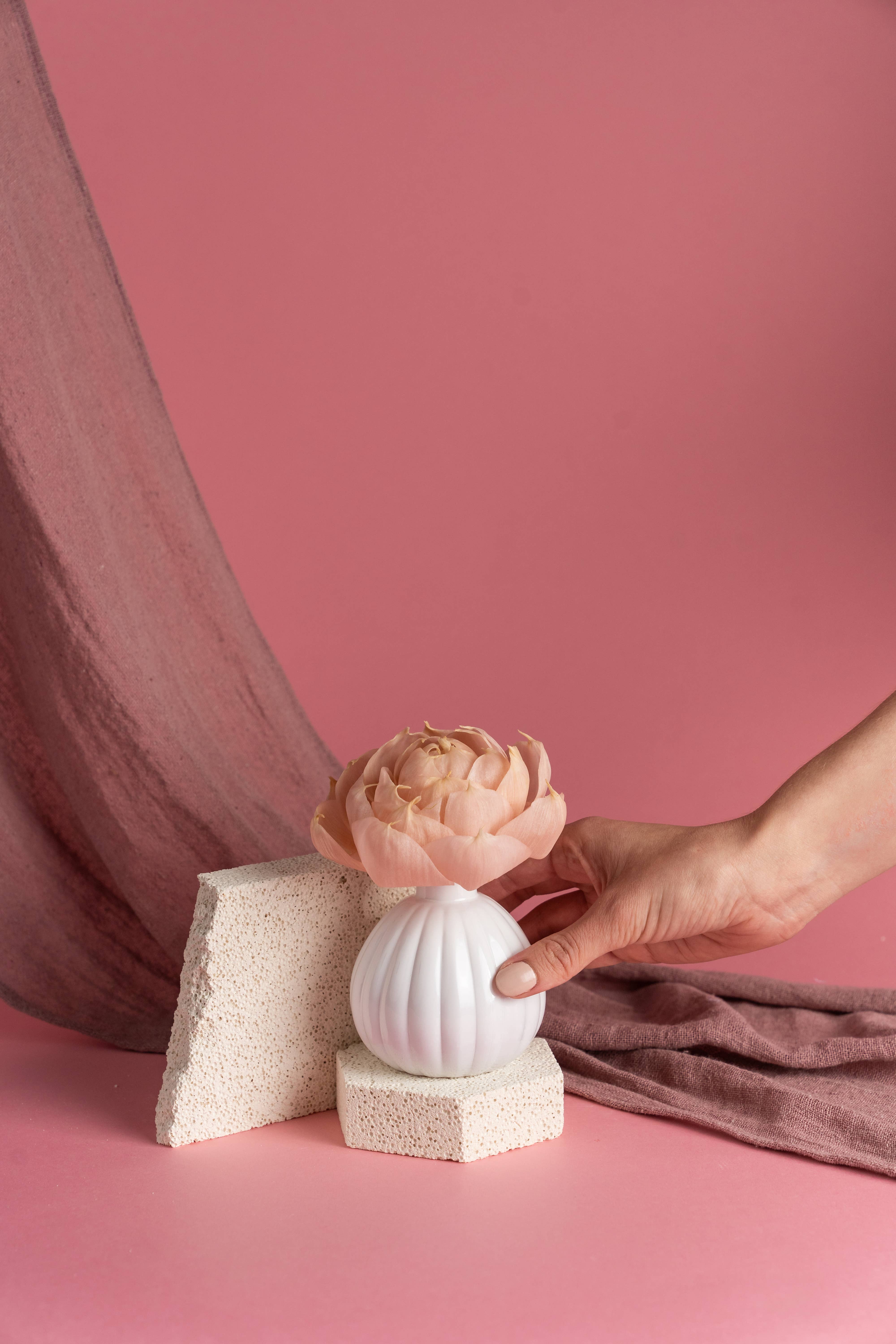 Bridgewater Candle Company - Wholesale Reed Diffuser - Sweet Grace Flower Diffuser8