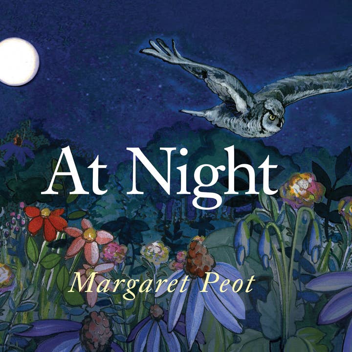 National Book Network - Wholesale Nature & Outdoors - At Night