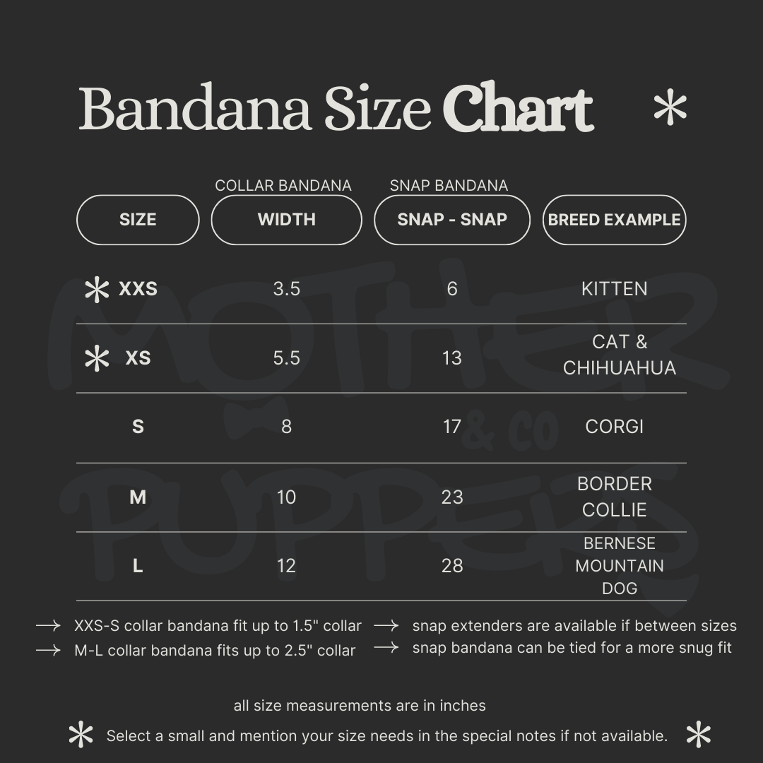 Mother Puppers Co. - Vente Bandana – chien - Bandana d'anniversaire bleu1