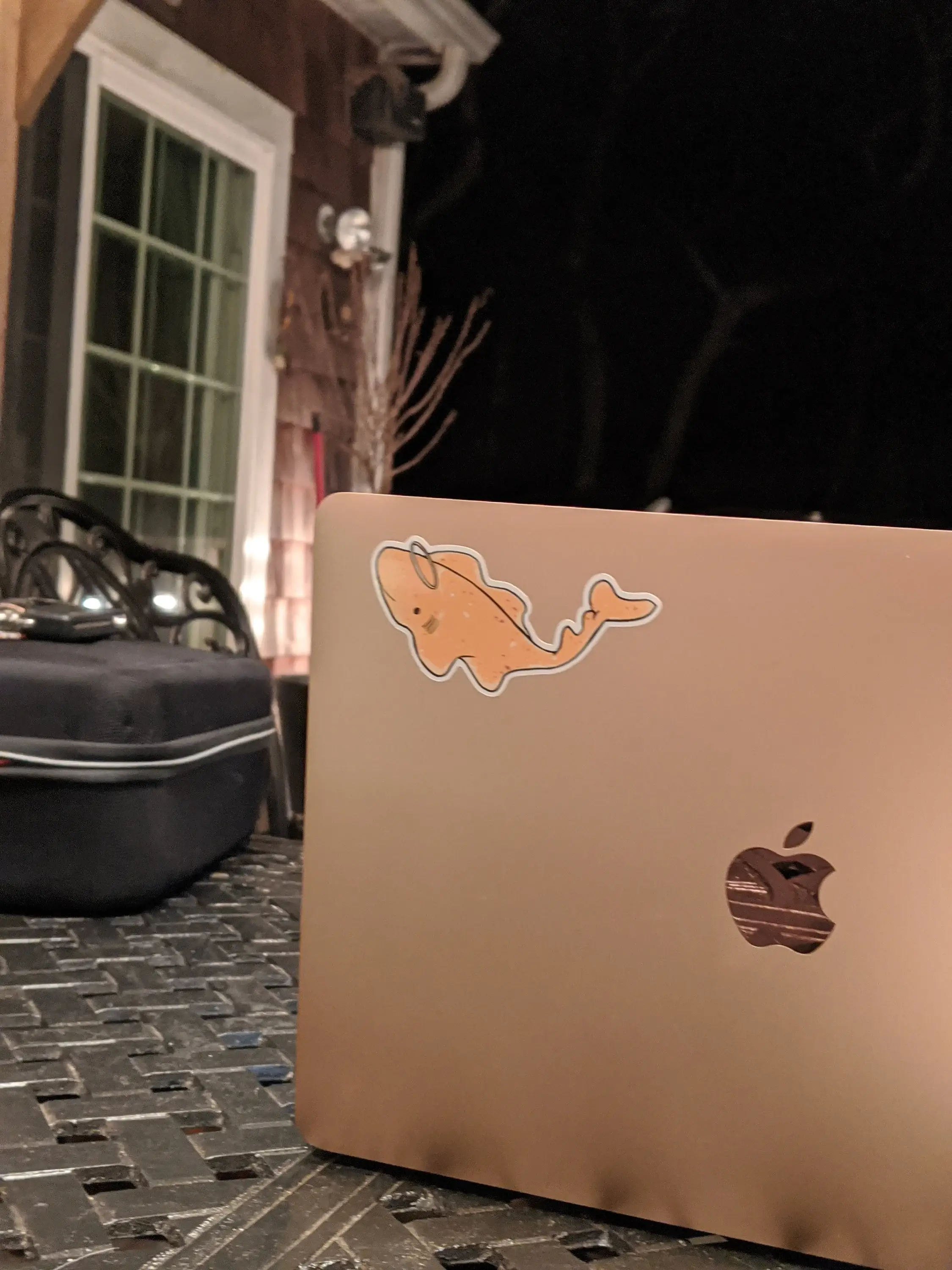 The Mighty Jackie - Wholesale Sticker - Angel Shark Sticker2