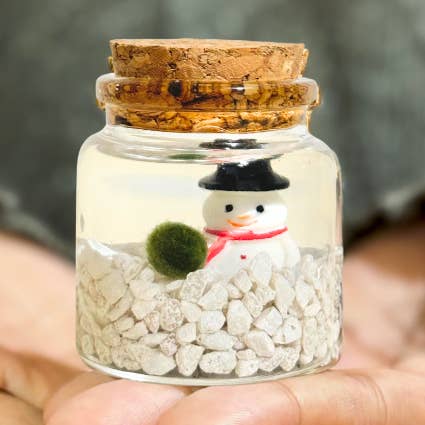 Moss Amigos | Moss Ball Terrariums - Wholesale Live Plant - Holiday Moss Rico0