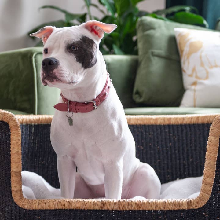 Handgefertigter, umweltfreundlicher Hundekorb aus Elefantengras für den Großhandel von Mmabiabaskets