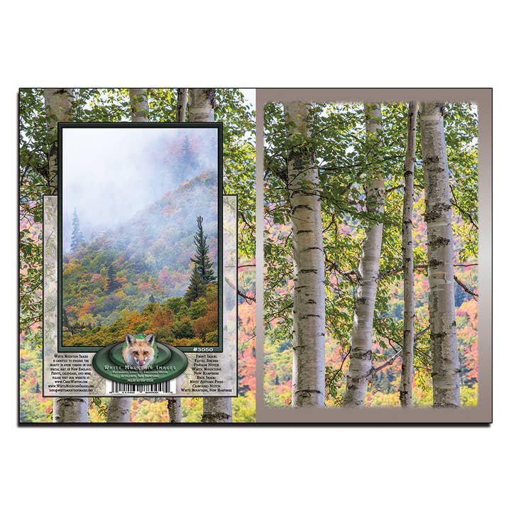 #3050 Pastell Birches Notecard für den Großhandel von White Mountain Images