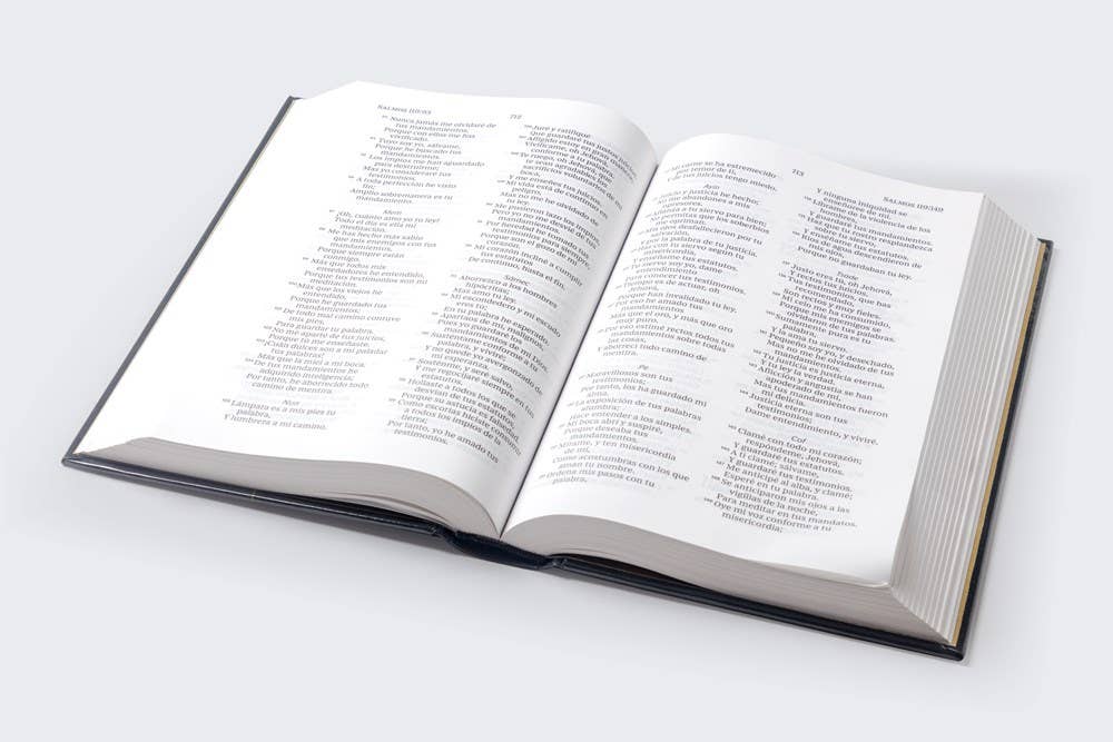 HarperCollins Christian Publishing - Wholesale Religion - RVR60, Santa Biblia, Premio y Regalo, Letra grande, Tapa dur9