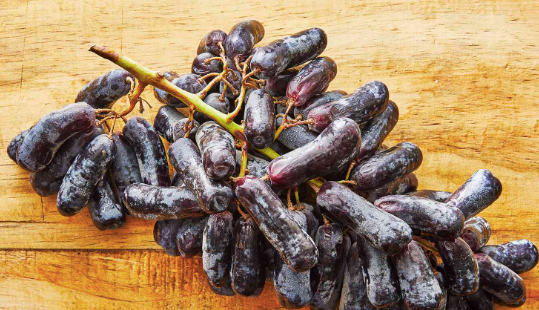 Zakarian Collection - Vente Sauces - Glaçage balsamique Zakarian Gourmet - 250 ml5