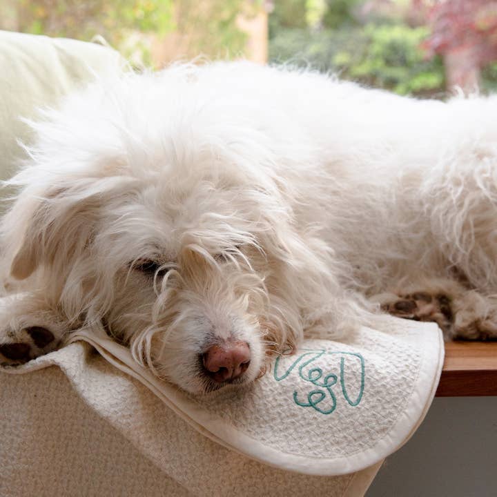 Coperta per cani - Cotone biologico & Commercio equo e solidale per la vendita all'ingrosso da parte di Pawness