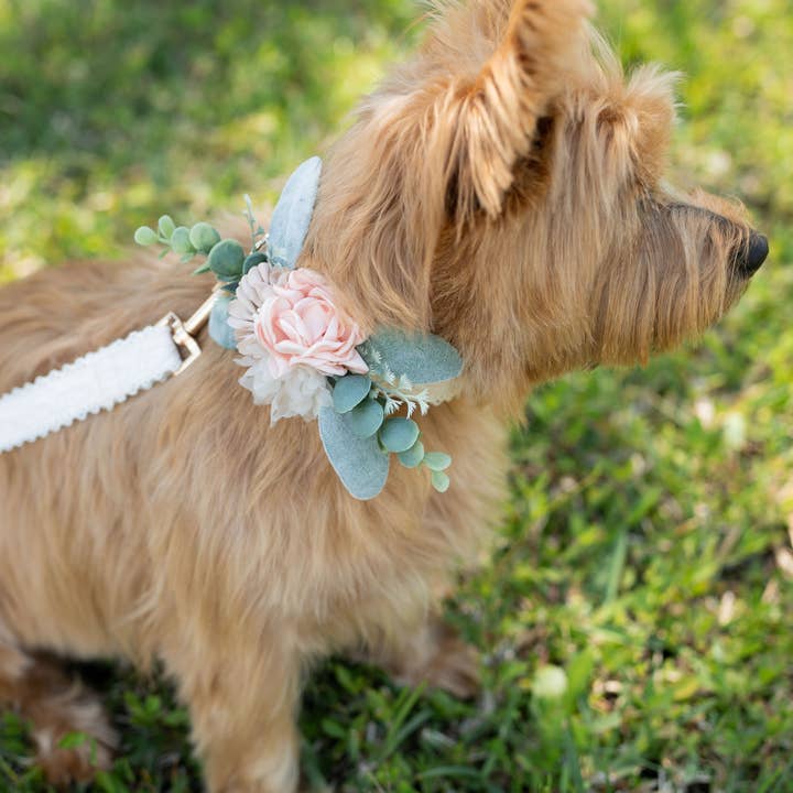 Floral Decor for Dog Collar | Ring Bearer Dog for wholesale by Indy Supply Co