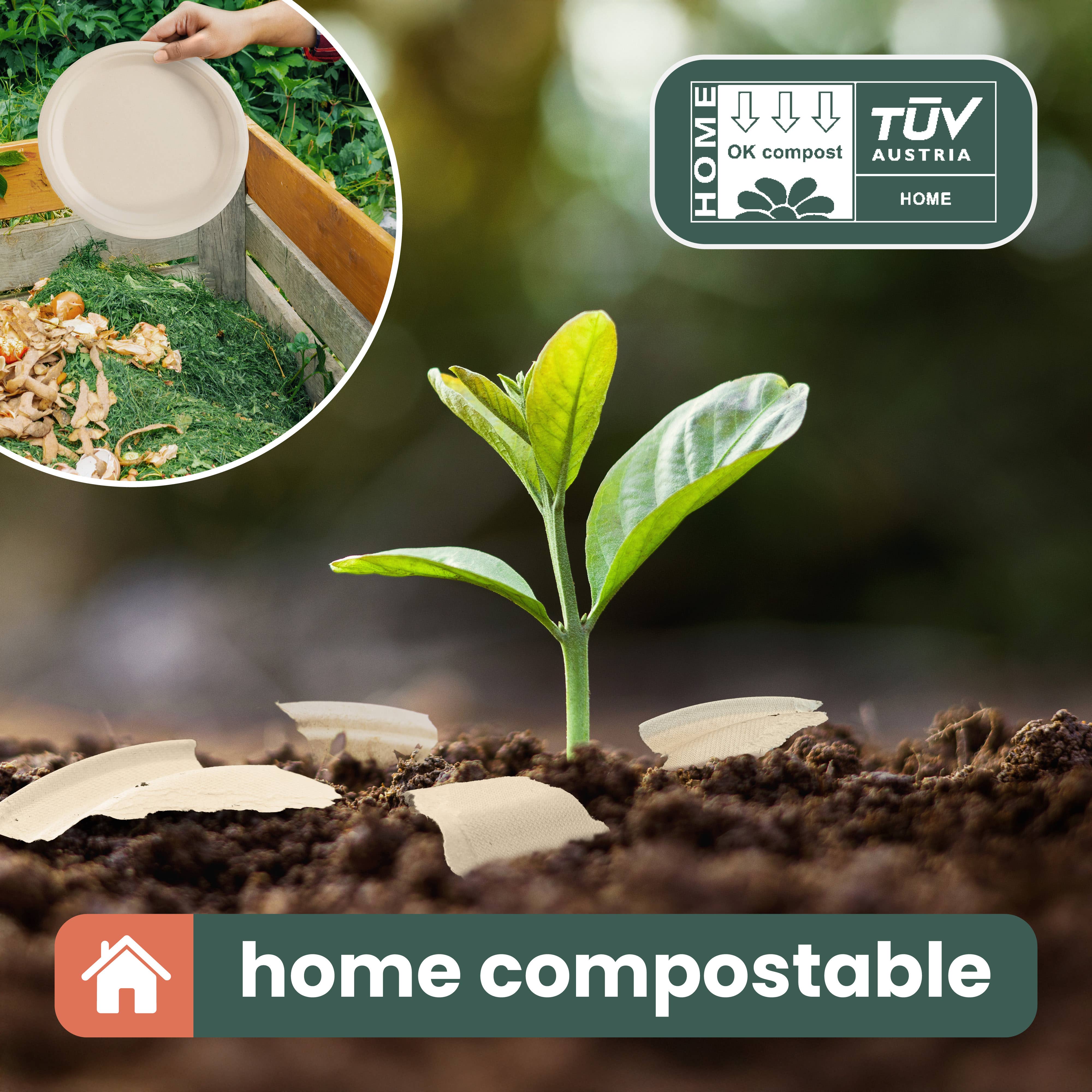 Häago - Wholesale Disposable plate - 100 Recyclable Sugarcane Bowls5