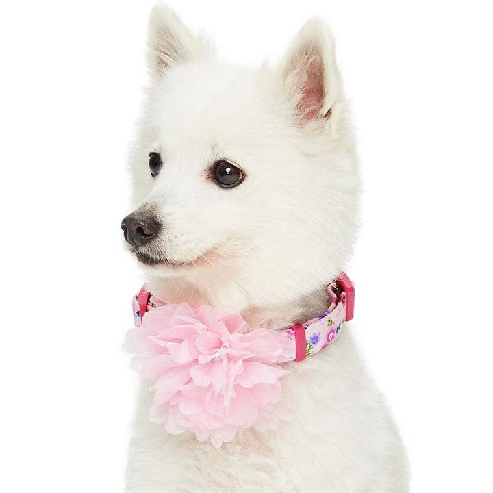 Floral Dog Collar with Detachable Pink Peony, Pink for wholesale on Faire