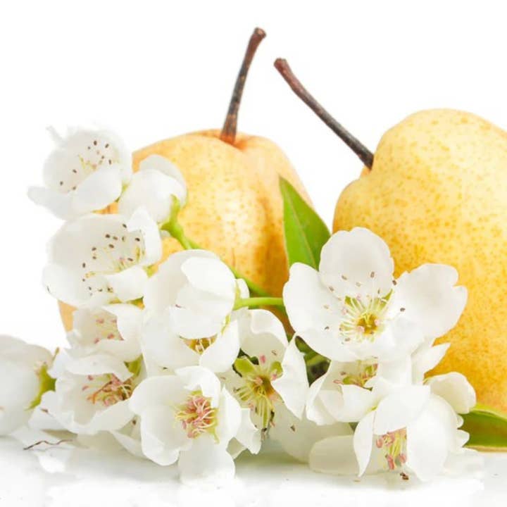 Antwerp Luxury candle supplies - Wholesale Fragrance Oil - English Pear & Freesia Fragrance oil2