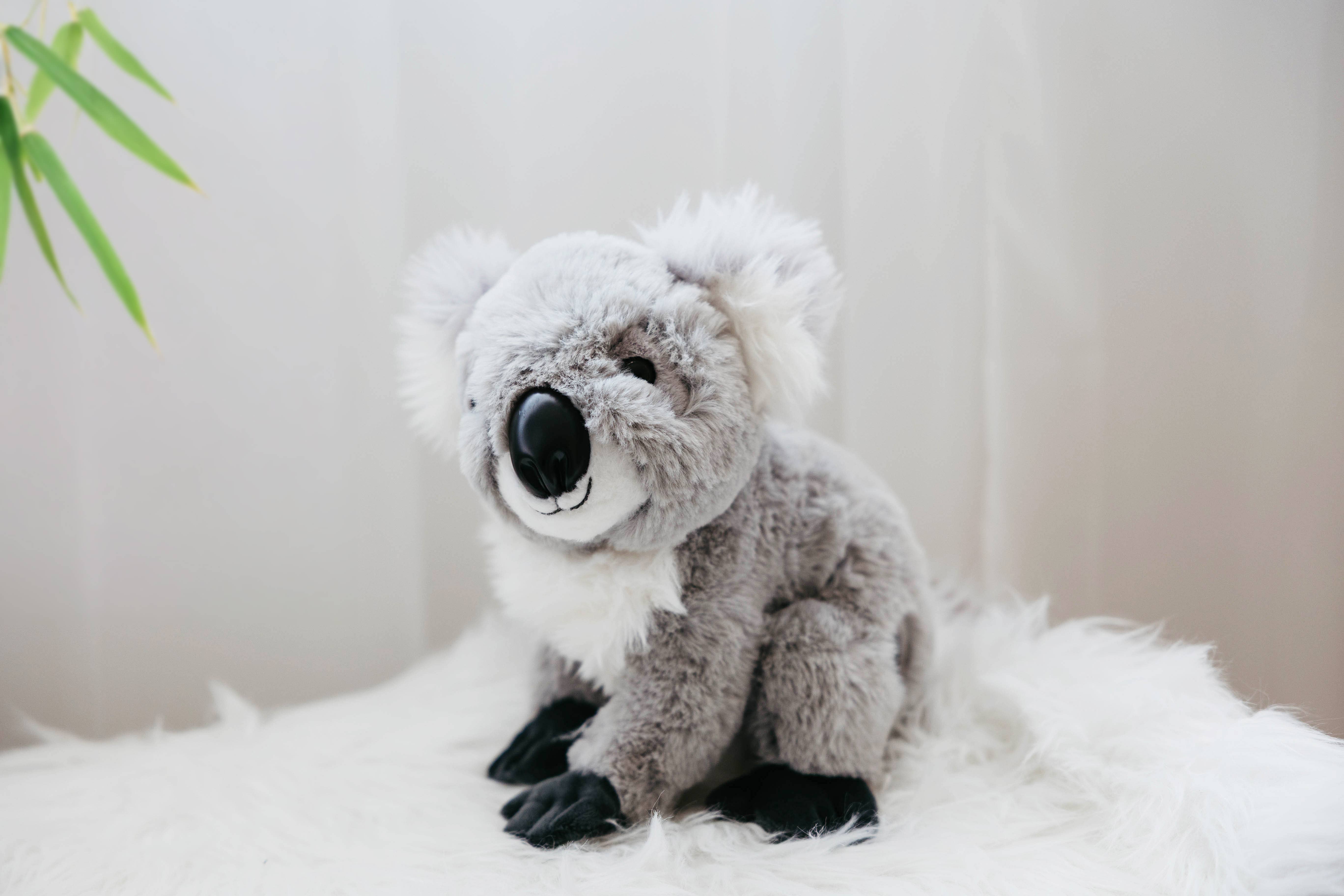 The Petting Zoo – Engroshandel Plyslegetøj - Børn og baby – 12" (26 cm) Wild Onez Koala Bamse Plysdyr1
