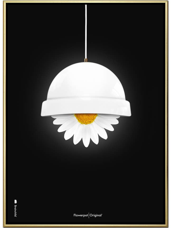 Fioriera Poder — Bianco — Fondo Nero — Classico per la vendita all'ingrosso da parte di Brainchild