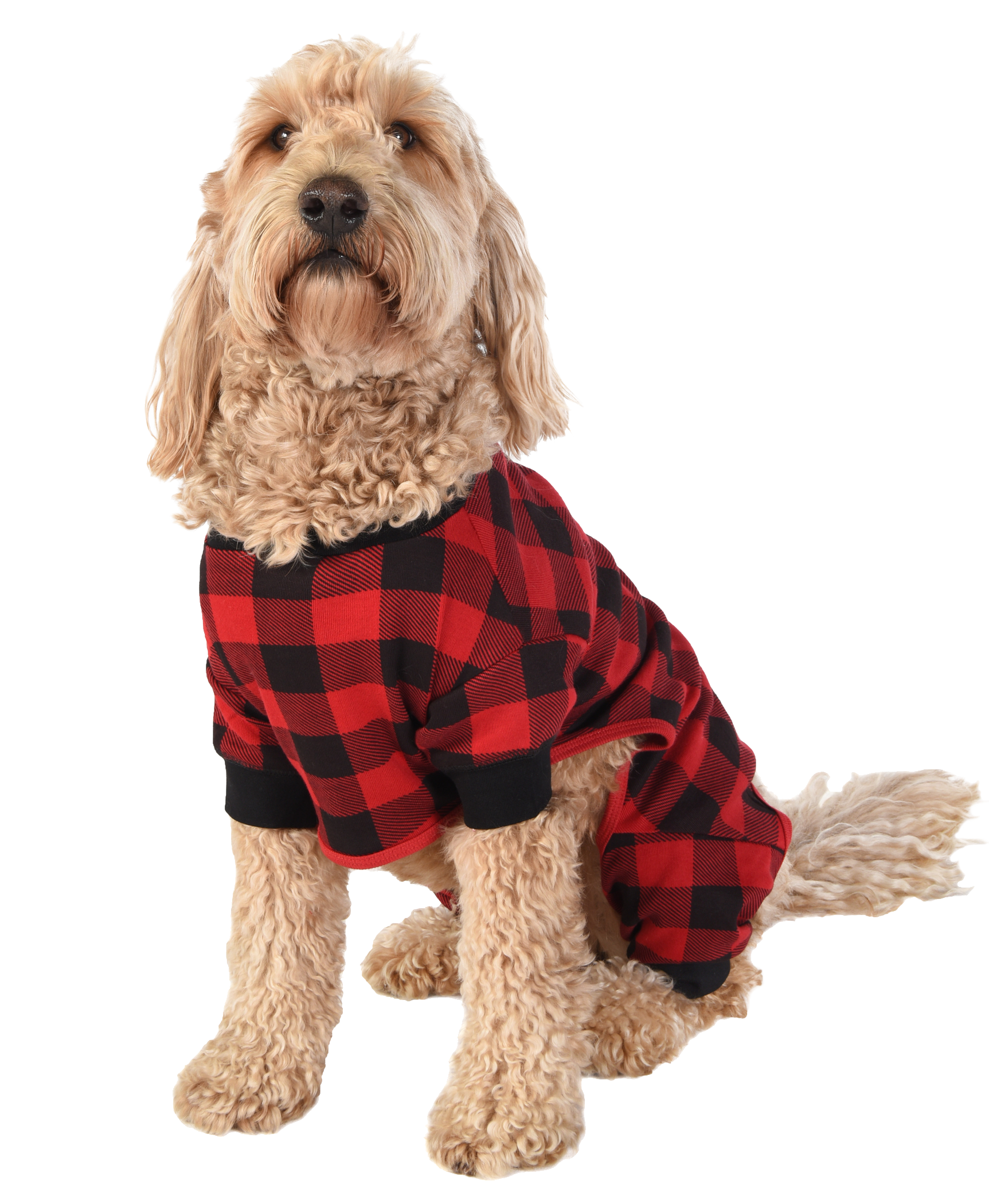 Lazy One - Wholesale Pet Costume - Dog - Plaid Bear Cheeks Dog Flapjacks2
