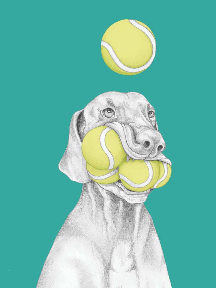 Vizsla – Illustration de chien au graphite et couleur digitale pour la vente par I AM NIEN