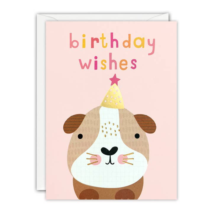 Nelson Line - Wholesale Everyday Greeting Card - BIRTHDAY GUINEA PIG - 3.75 x 5" MINNOWS CARD