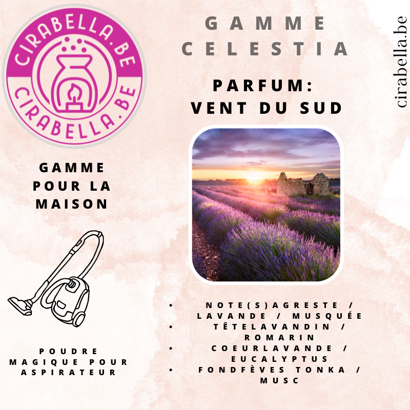 Cirabella-Sensaura srl - Wholesale Air Freshener - Vacuum cleaner powder2