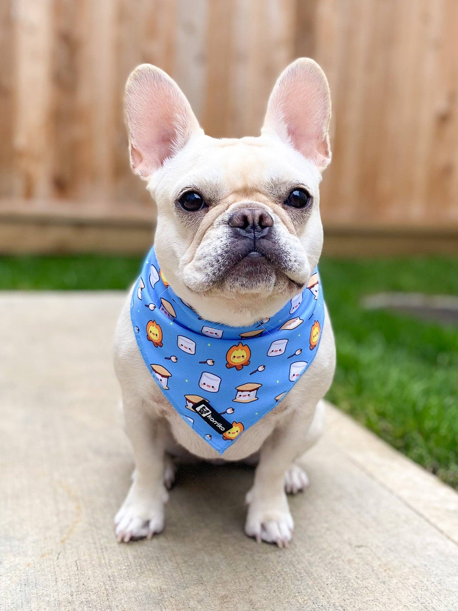 Korriko Pet Supply - Venta al por mayor Bandana - Perros - Bandana refrescante para perros - S'mores1