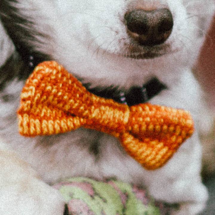 Nœud papillon pour petit chien (4 couleurs disponibles) pour la vente par Wool & Whiskers