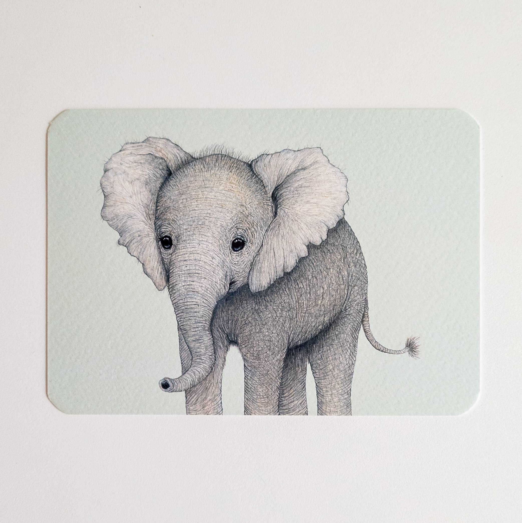 Studio Binck – wholesale Vykort – Vykort OLIVIER0