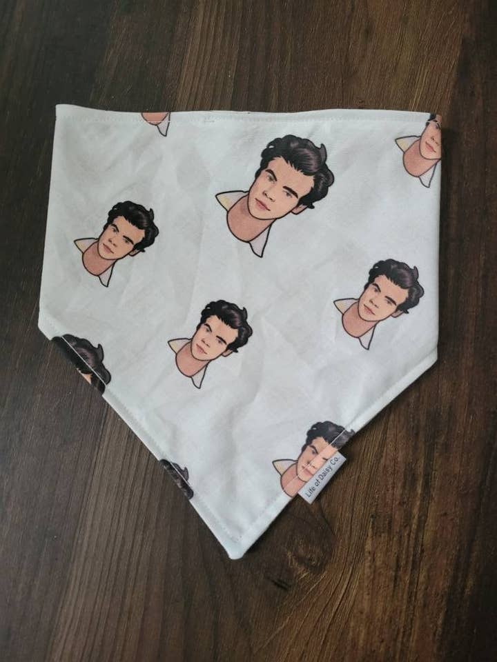 Harry bandana voor wholesale door Life of Daisy Co.