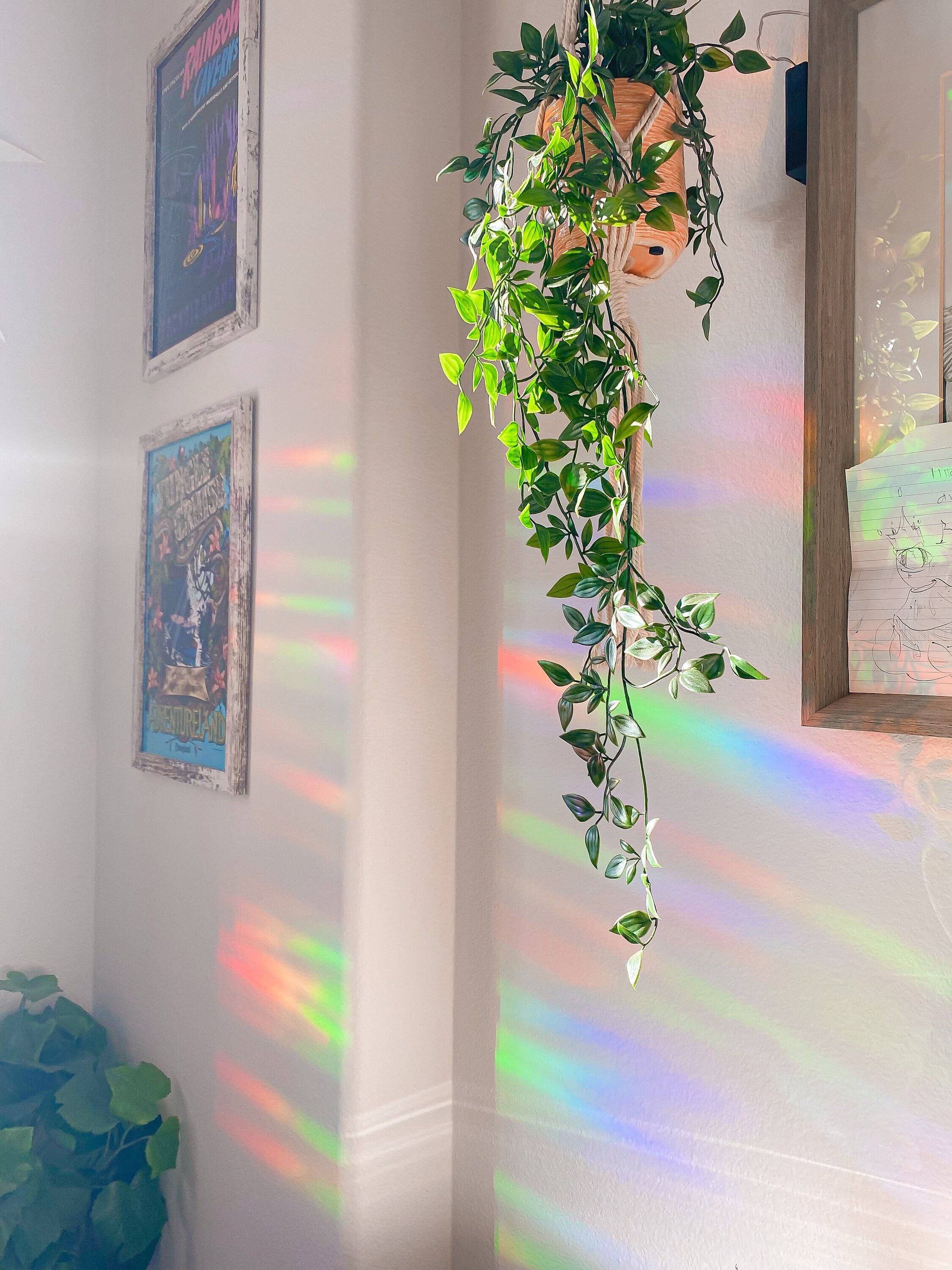 Sunbeam Shop Co - Wholesale Suncatcher - Valkyrie Book Club Suncatcher Sticker3