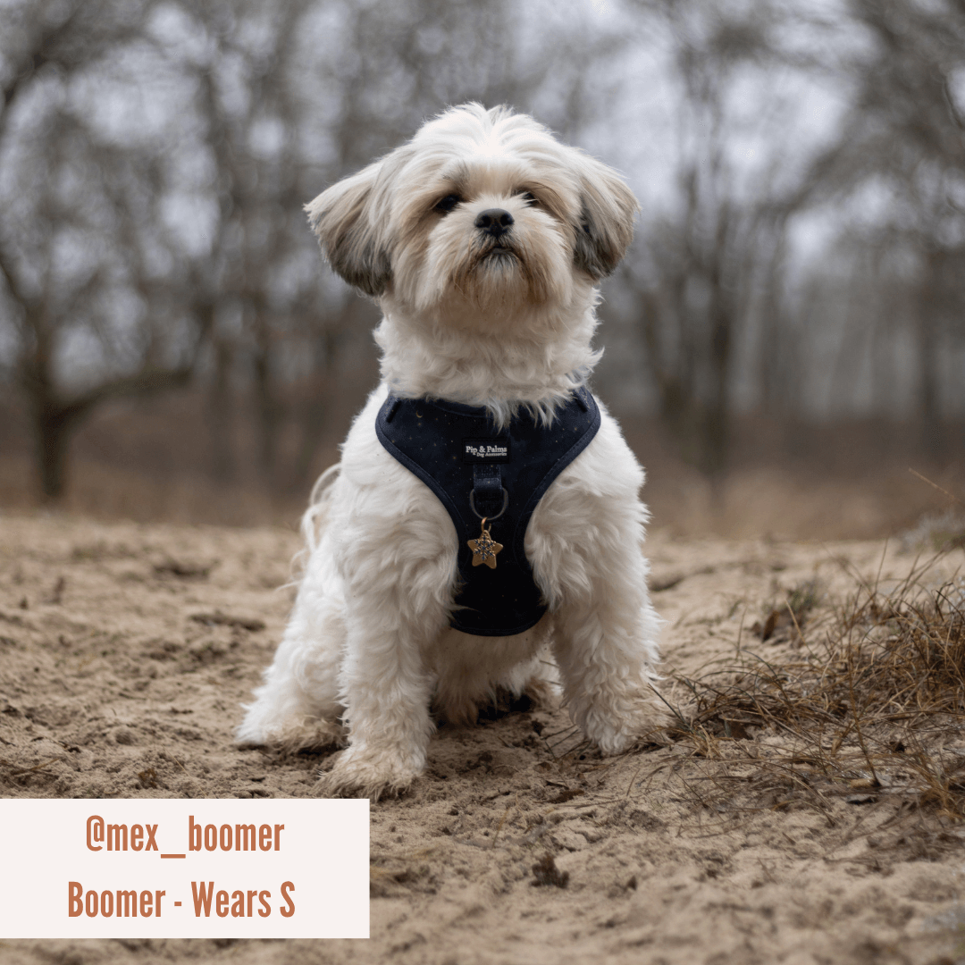 Pip and Palms - Wholesale Pet Harness - Dog - Dog Harness Over the Moon5